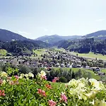 Bauernhof Moedling Appartement