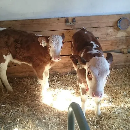 Bauernhof Moedling Hopfgarten im Brixental