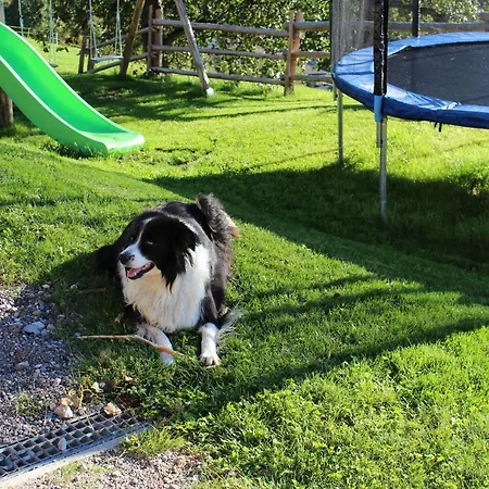 Bauernhof Moedling *